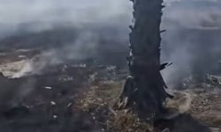 Yangın müdahale çalışmaları yarın Lefkoşa’da tanıtılacak