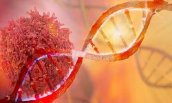 Kanseri 'MAT' edecek buluş