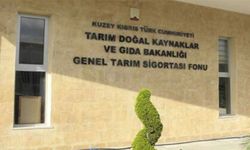 Tarım ve Doğal Kaynaklar Bakanlığı Girne bölgesinde denetimler yaptı