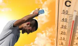 Küresel ortalama sıcaklıkların 5 yıl rekor seviyelerde seyretmesi bekleniyor