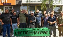 Hayvan üreticileri isyan etti: Artık yeter! Ürettiğimizin karşılığını istiyoruz