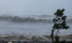 Tayvan'da Fung-Wong Tropik Fırtınası nedeniyle 3 bin 393 kişi tahliye edildi