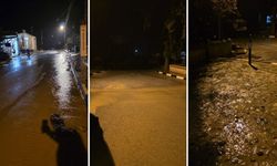 Borak: Karpaz ve Dipkarpaz'da yağışlar normal seyrinde