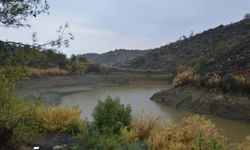 Lefke Belediyesi barajların doluluk oranını açıkladı: Olumsuzluk yok