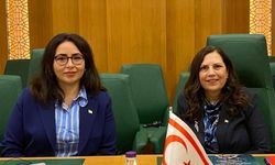 KKTC, İİT Bağımsız Daimi İnsan Hakları Komisyonu’nun 26. Olağan Oturumunda temsil edildi