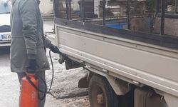 Erenköy-Karpaz Belediyesi, şap hastalığına karşı önlemlere devam ediyor