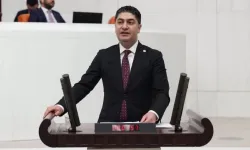 Özdemir'den federal zemin eleştirisi: "Türkiye'ye katılın" çağrısı anlam kazandı