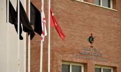 Hekim örgütlerinden siyah bayrakla protesto...