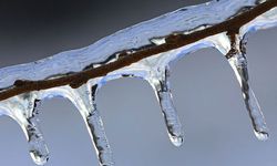 Bugün ve yarın don bekleniyor