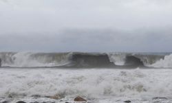 Baf’ta şiddetli rüzgar ağaçları ve elektrik direklerini devirdi