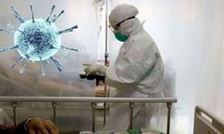 Covid'den 5 kat daha ölümcül... Nipah virüsü Türkiye'ye gelir mi?