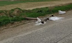 Gürpınar ve Yılmazköy’de trafik kazası nedeniyle elektrik kesintisi!