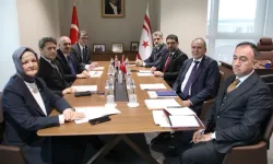 Türkiye-KKTC Parlamenter iş birliği: Hedef uluslararası alanda daha güçlü KKTC
