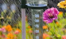 Yağışlar 5 kilogramın altında kaldı