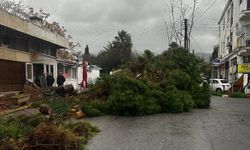 "Şiddetli yağış sonrası Girne’de üç kritik sorun"