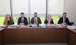 Kozmetik Ürünleri (Değişiklik) Yasa Tasarısı komiteden geçti