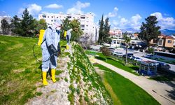 LTB, Başkentin Tarihi Mirası Surlarda temizlik ve ilaçlama çalışmalarına devam ediyor