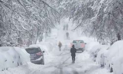 ABD'nin kuzeydoğusunda soğuklar nedeniyle birçok eyalette acil durum ilan edildi