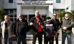 Hayvancılar: Ayda 12 Bin Ton Arpaya İhtiyaç Var