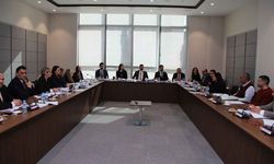 İdari, Kamu ve Sağlık İşleri Komitesi, Bütçe Dairesi ile BRTK yasa tasarılarını görüştü