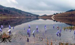 Baharın ikinci müjdecisi yolda: Cemre suya düşecek
