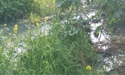 "Gemikonağı Deresi’ni kaplayan foseptik kirliliği üç aydır olduğu gibi duruyor"