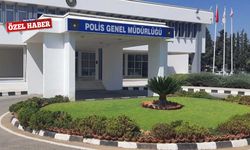 Muhtarların güven terazisi: Güvenlik kurumları önde, siyasete güven dipte