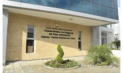 “Fare Mücadele Kampanyası” başlıyor