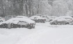 ABD'de 40 milyondan fazla kişi kar fırtınası uyarısıyla karşı karşıya