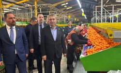 Başbakan Üstel Güzelyurt’ta: Valencia için rekor fiyat geliyor