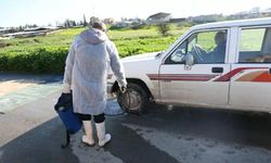 Larnaka’da 11 çiftlikte şap hastalığı tespit edildi