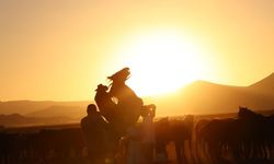 Atlar aynı anda hem kişneyip hem ıslık çalıyor