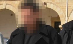 Sahte belgeyle ülkeye cins köpekleri sokmaya çalıştı