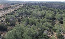 Mecliste destek şimdi geri çekme talebi