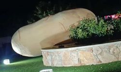 Patates heykeli kötü hava şartları yüzünden devrildi