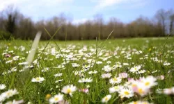 Son cemre toprakla buluştu