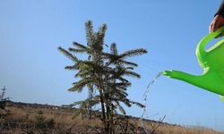 “Yeniden Yeşil Kıbrıs” etkinliğiyle yarın ülke genelinde eş zamanlı fidan dikilecek