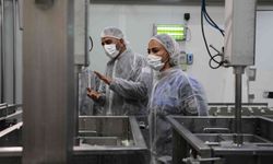 Değirmenlik Akıncılar Belediyesi Sağlık Şubesi, 81 iş yerini denetledi