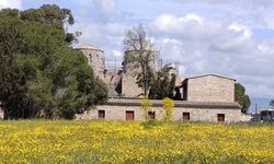 St. Barnabas Manastırı’nda bulunan kilise binasında çalışma başlatıldı