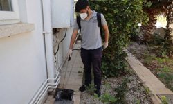 İskele Belediyesi, haşere ve sineklere karşı ilaçlama faaliyetlerine başladı