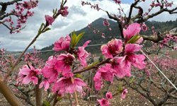 Mart 2026, dünyada kayıtlardaki en sıcak dördüncü mart ayı oldu