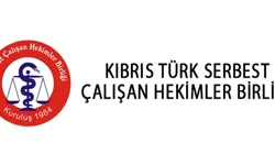 Serbest Çalışan Hekimler: İş Yeri Hekimliği Tüzüğü yürürlüğe konulmalı