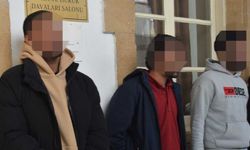 Kaçaklar mahkemeye çıkarıldı