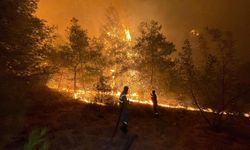 Türkiye'de 2026'te çıkan orman yangınlarının yüzde 96'sı insan kaynaklı