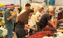 Pazarın fiyat şampiyonu Asma Yaprağı: 800 TL