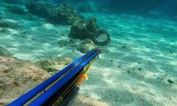 Gece Avına Suçüstü: Zıpkınla Kaçak Avlanan Şahıs Tutuklandı