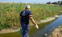 LTB, 7 Ekiple sivrisinekle etkin ve biyolojik mücadeleyi sürdürüyor