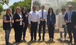 Narenciyede yeşillenme hastalığına karşı başlatılan biyolojik mücadelede başarı...