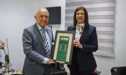 CTP Genel Başkanı İncirli, eski TBMM Başkanı Çiçek ile görüştü