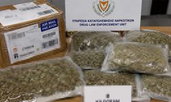 Güney'e postayla 8 kilogram uyuşturucu geldi